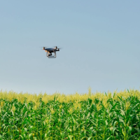 Drones en la agricultura: una nueva era para el seguimiento de cultivos