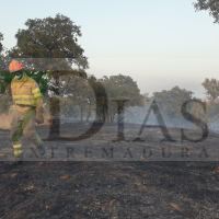 Un incendio calcina más de 20 hectáreas de gran valor ecológico en Extremadura