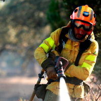 Nueve incendios en una semana: se busca a un posible pirómano en Badajoz