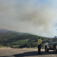 Incendio en Las Hurdes: varios flancos controlados, pero preocupa Avellanar