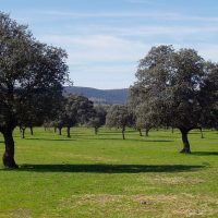 Ecologistas se oponen a la "recalificación a la carta" para el residencial de lujo en Campo Arañuelo