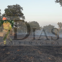 El Plan INFOEX ha intervenido en 35 incendios forestales la pasada semana