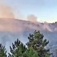 Bomberos Forestales pertenecientes al Gobierno de España actúan en Cañamero