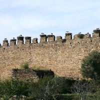 Declaran BIC el Castillo de los Herrera en Arroyo de la Luz