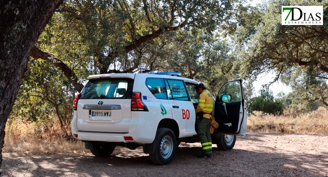Imágenes de los bomberos en el incendio de Tres Arroyos