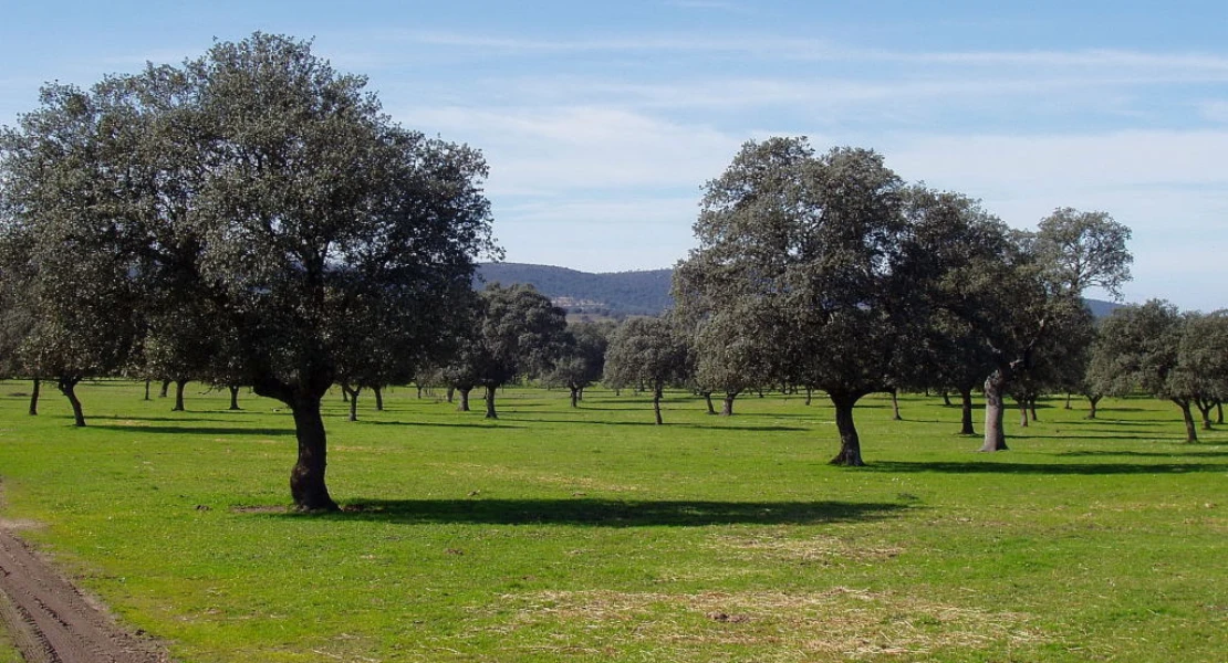 Ecologistas se oponen a la "recalificación a la carta" para el residencial de lujo en Campo Arañuelo