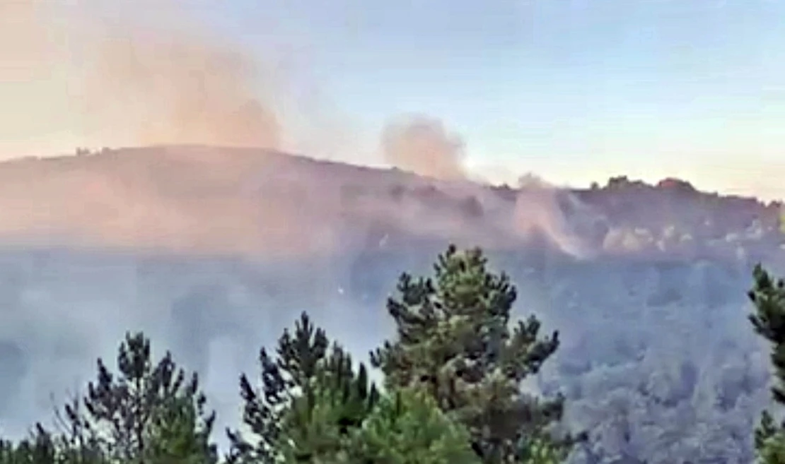 Bomberos Forestales pertenecientes al Gobierno de España actúan en Cañamero