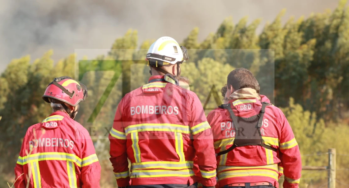 Imágenes del incendio forestal que ha arrasado más de 4.000 hectáreas en Portugal