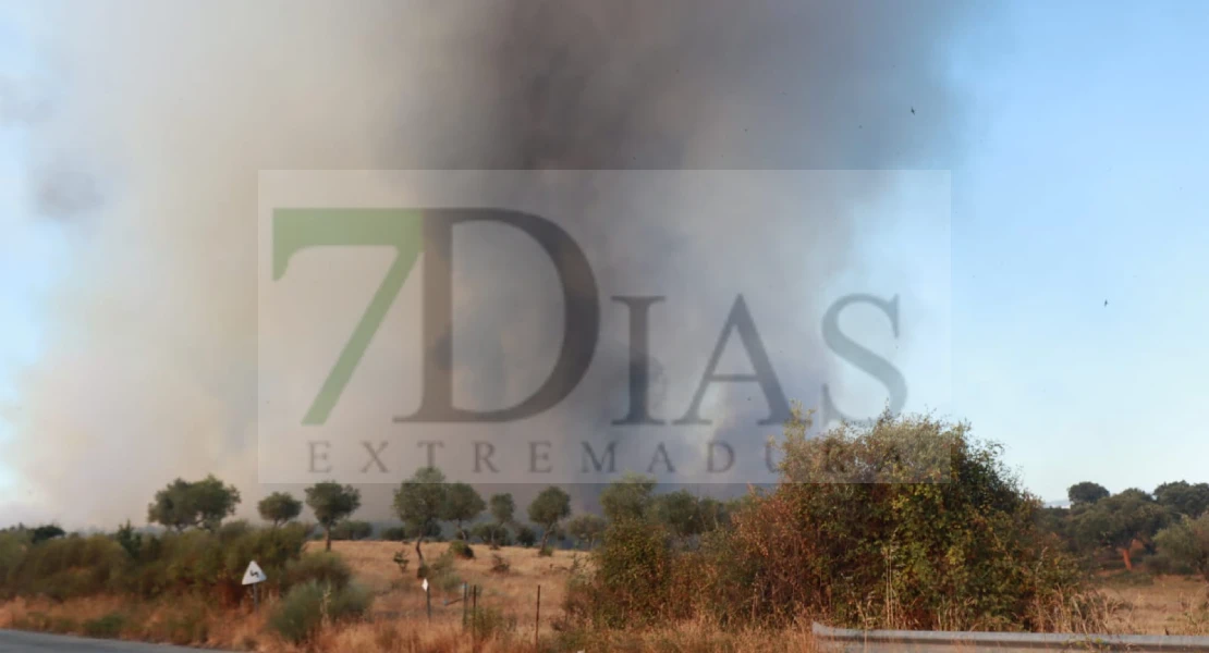 Imágenes del incendio forestal en Portugal