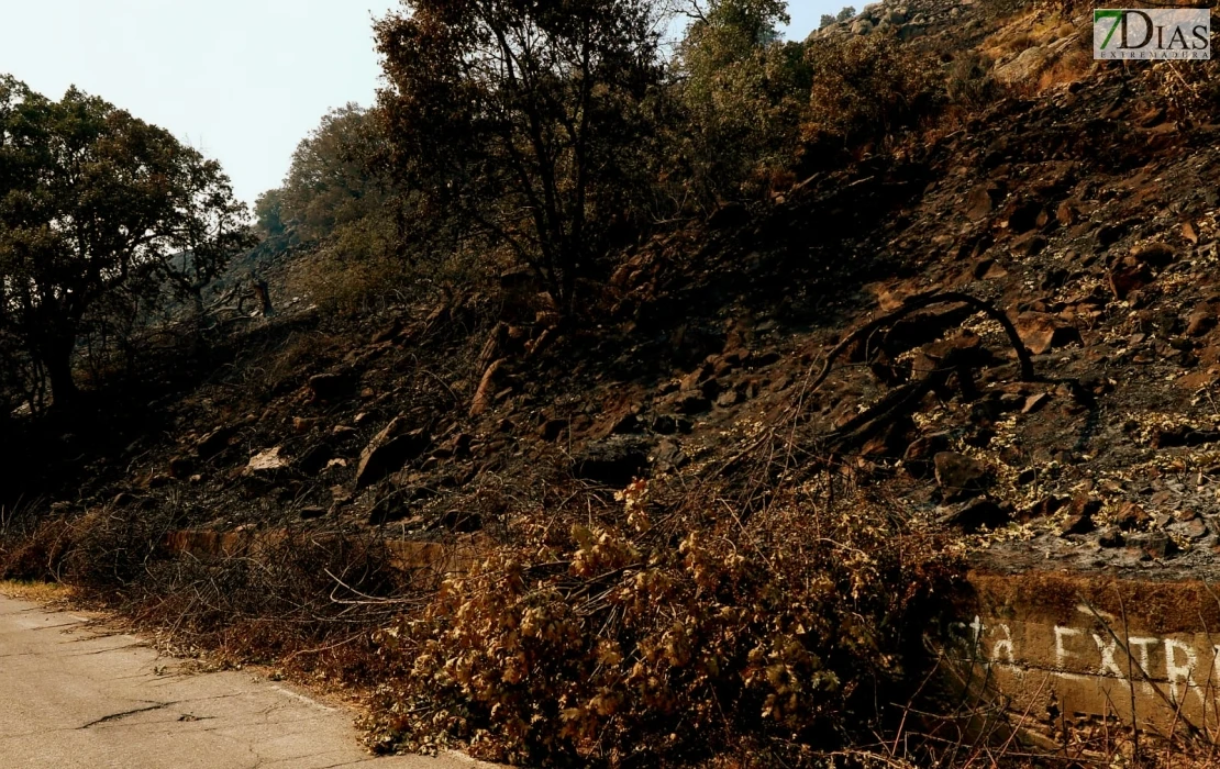 REPOR - Operativo y estado actual de la zona arrasada por el incendio desde Jerte