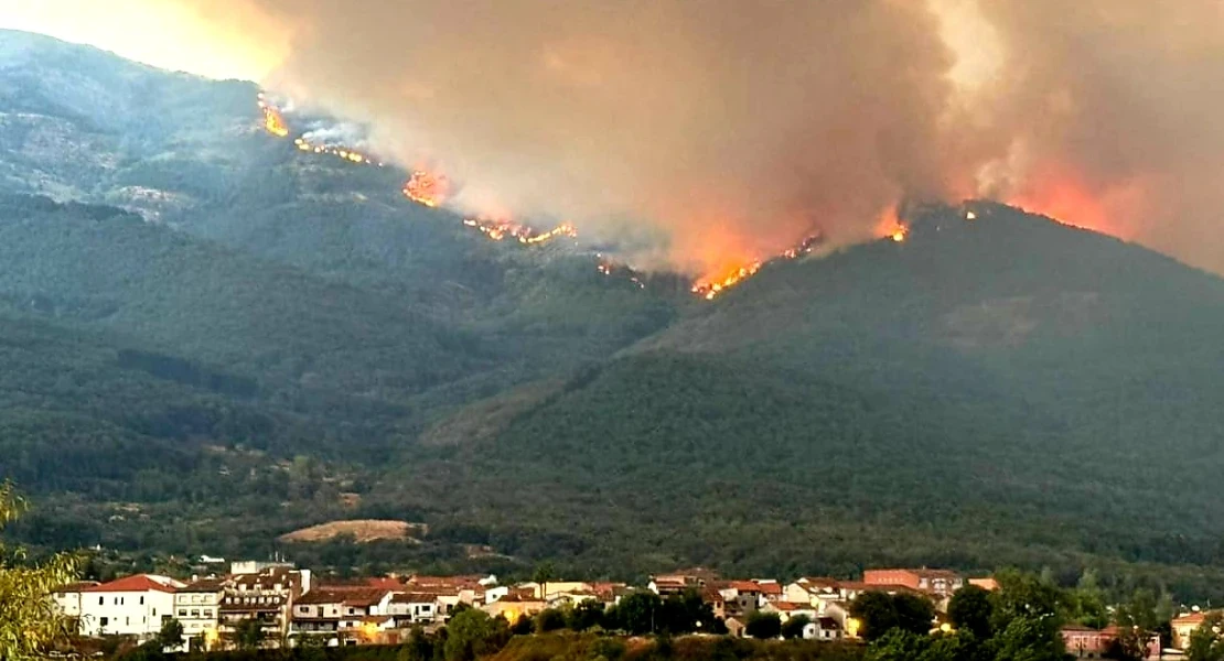 Incendios forestales y espacios naturales protegidos: "Es mezquino relacionarlos"