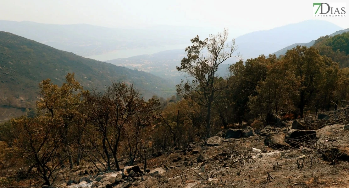El incendio de Jarilla se da por estabilizado: "Lo hemos conseguido como pueblo. Será un ejemplo”