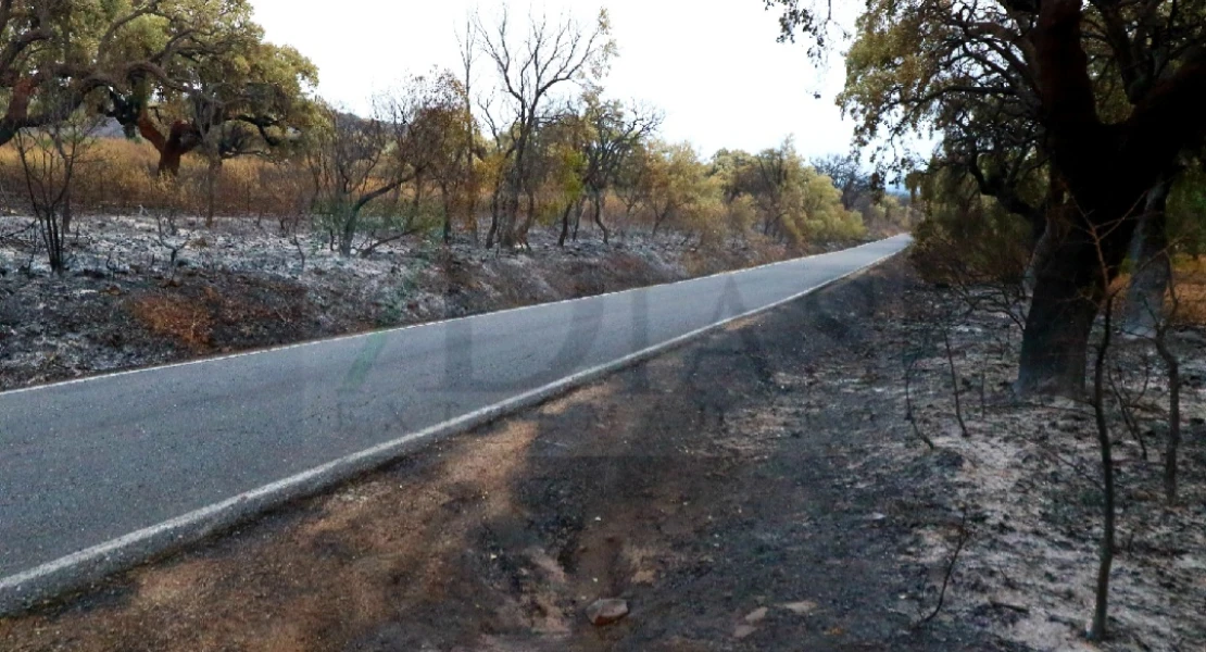 "Es un infierno desolador ver la Sierra de San Pedro, nuestra vida, así"