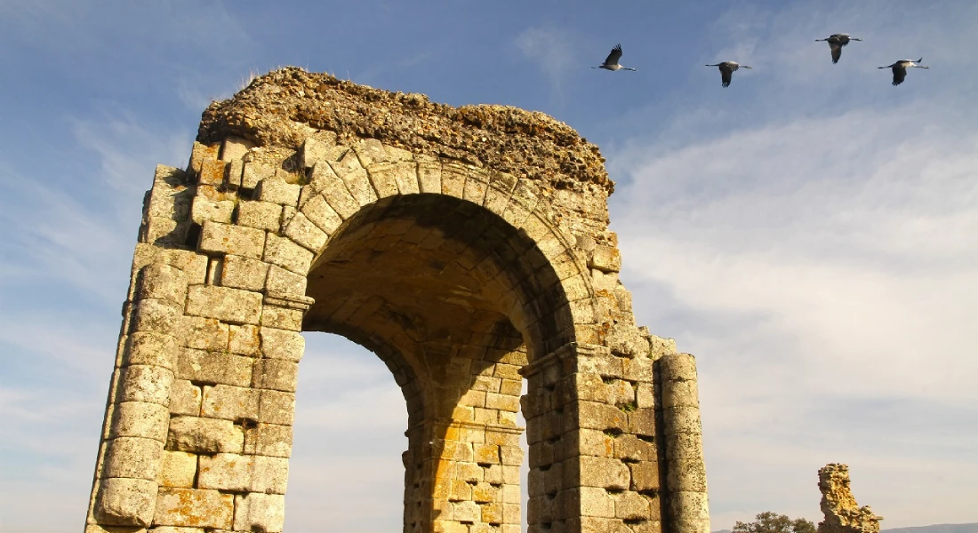 2 M€ para mejorar la experiencia de los visitantes a la ciudad romana de Cáparra