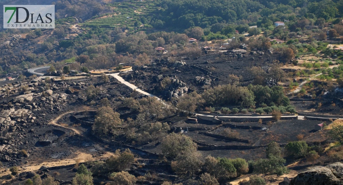 Así se encuentra uno de los pueblos afectados por el incendio de Jarilla: "Volverás a florecer"