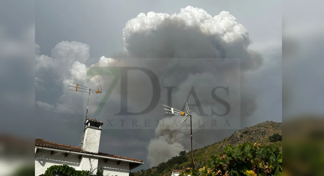 Movilizan un amplio dispositivo por un incendio forestal en el Valle del Jerte