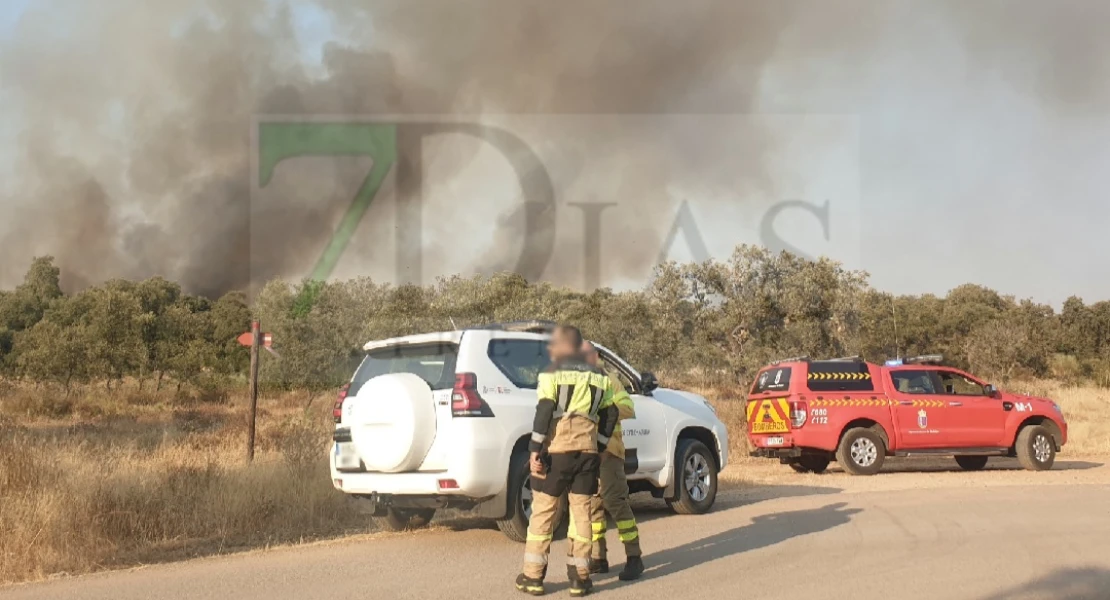 Imágenes que deja el incendio de nivel 1 declarado en Badajoz
