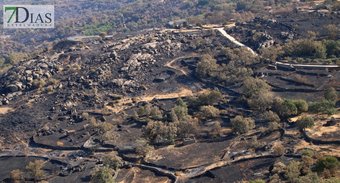 Así se encuentra uno de los pueblos afectados por el incendio de Jarilla: "Volverás a florecer"
