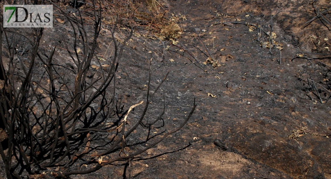 Así se encuentra uno de los pueblos afectados por el incendio de Jarilla: "Volverás a florecer"