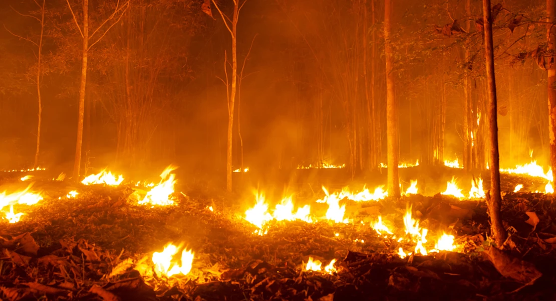 Efectos invisibles tras las llamas: advierten de graves riesgos en ríos y acuíferos tras los incendios