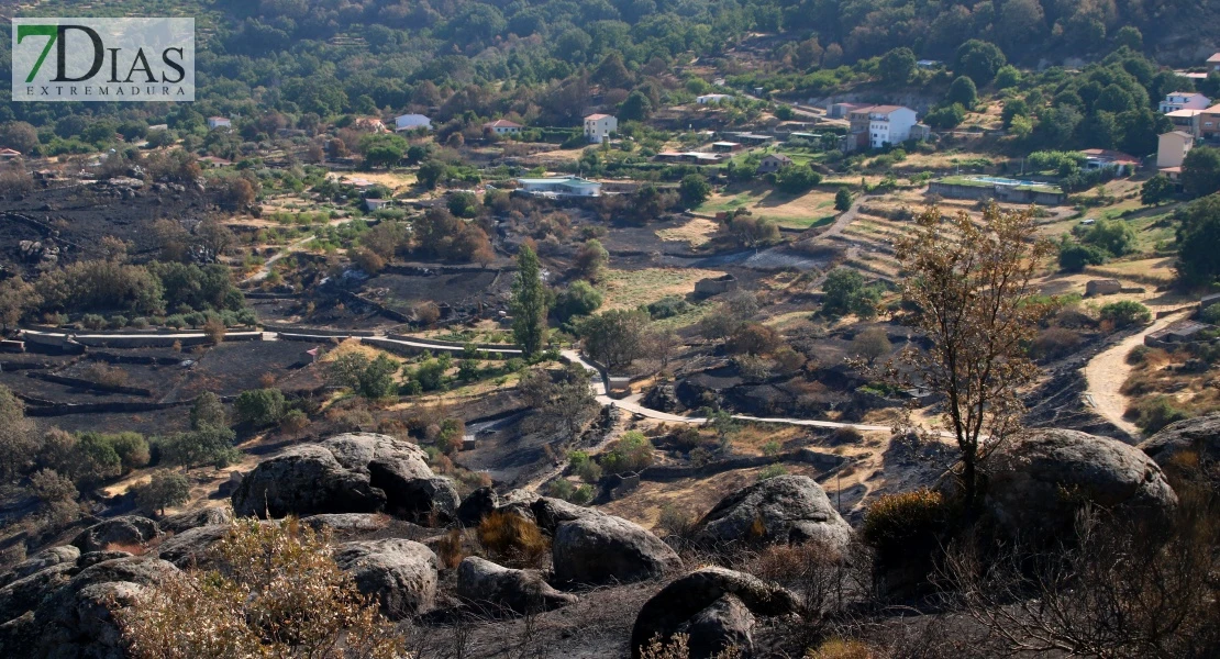 Así se encuentra uno de los pueblos afectados por el incendio de Jarilla: "Volverás a florecer"