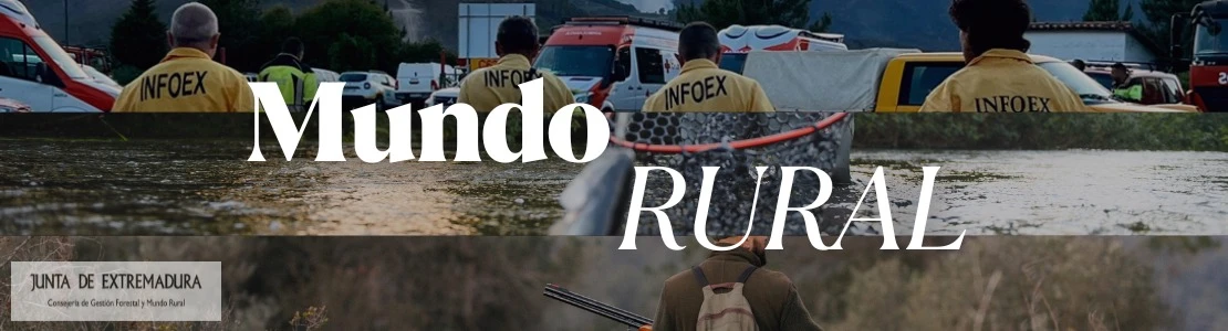 Mundo rural