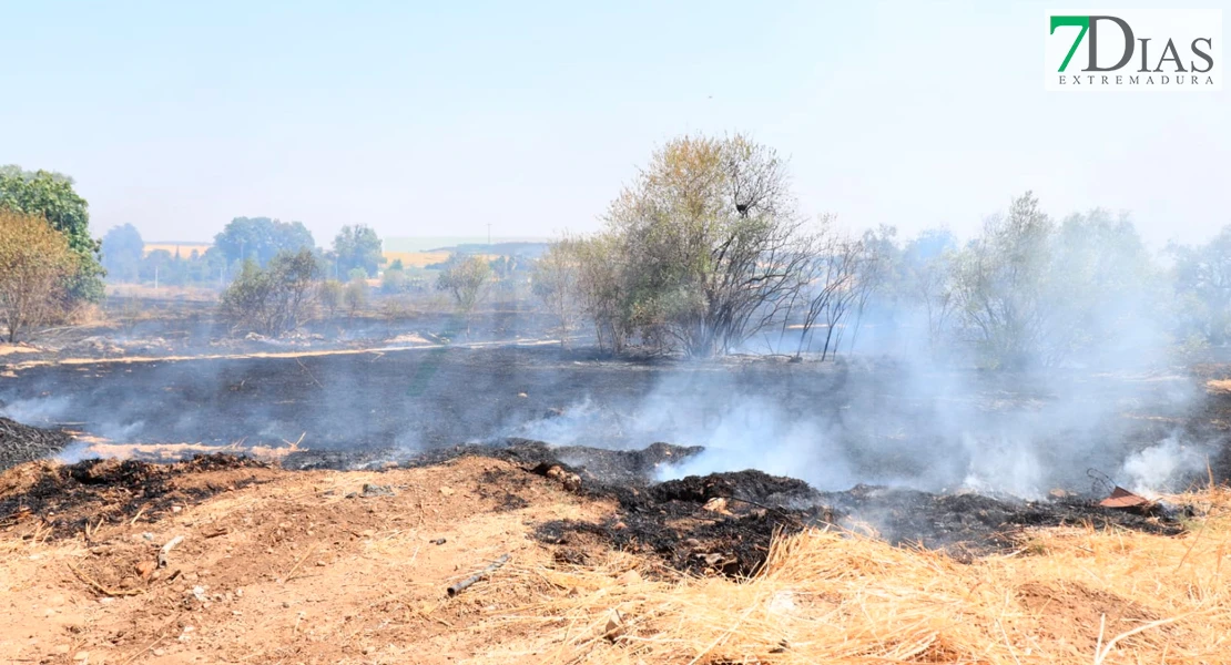 Imágenes y vídeo del incendio en La Banasta en Badajoz