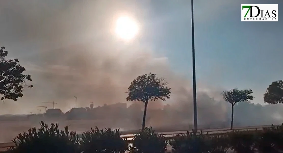 Prisión provisional para el joven detenido por el incendio en el Puente Real de Badajoz