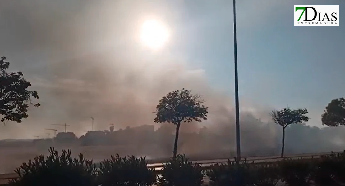 Un incendio junto al Tanatorio Puente Real obliga a regular el tráfico en Badajoz