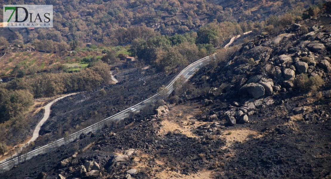 Así se encuentra uno de los pueblos afectados por el incendio de Jarilla: "Volverás a florecer"