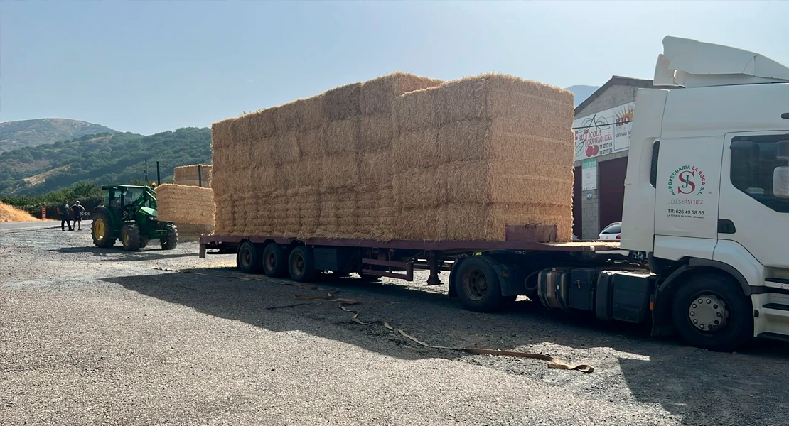 La Junta entrega paja a los ganaderos afectados por los distintos incendios de este verano