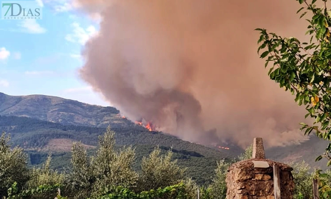 Piden suspender la caza durante un año en Extremadura en los terrenos afectados por los incendios
