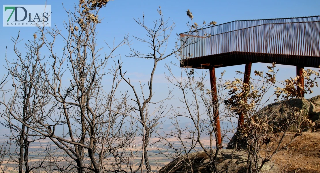 Así se encuentra uno de los pueblos afectados por el incendio de Jarilla: "Volverás a florecer"
