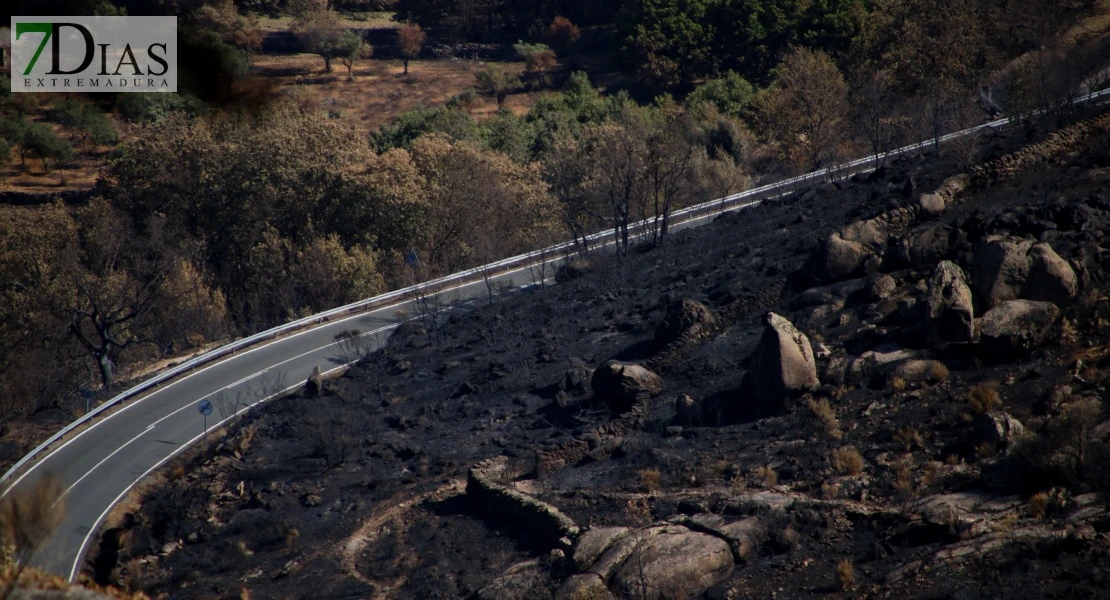 Así se encuentra uno de los pueblos afectados por el incendio de Jarilla: "Volverás a florecer"
