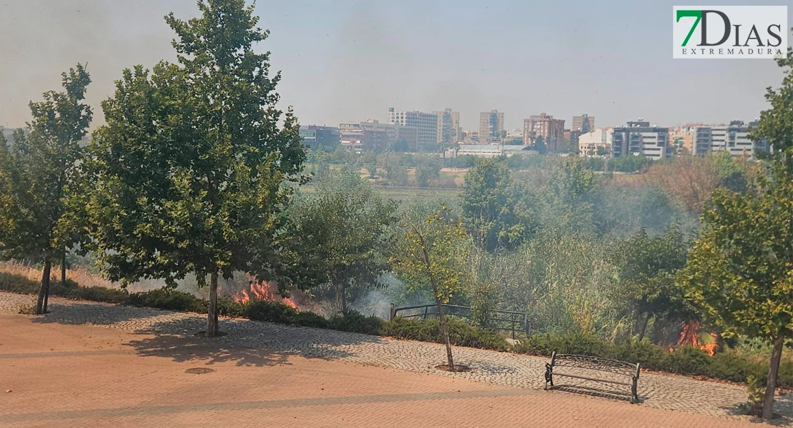 Incendio junto a los locales del río en Badajoz