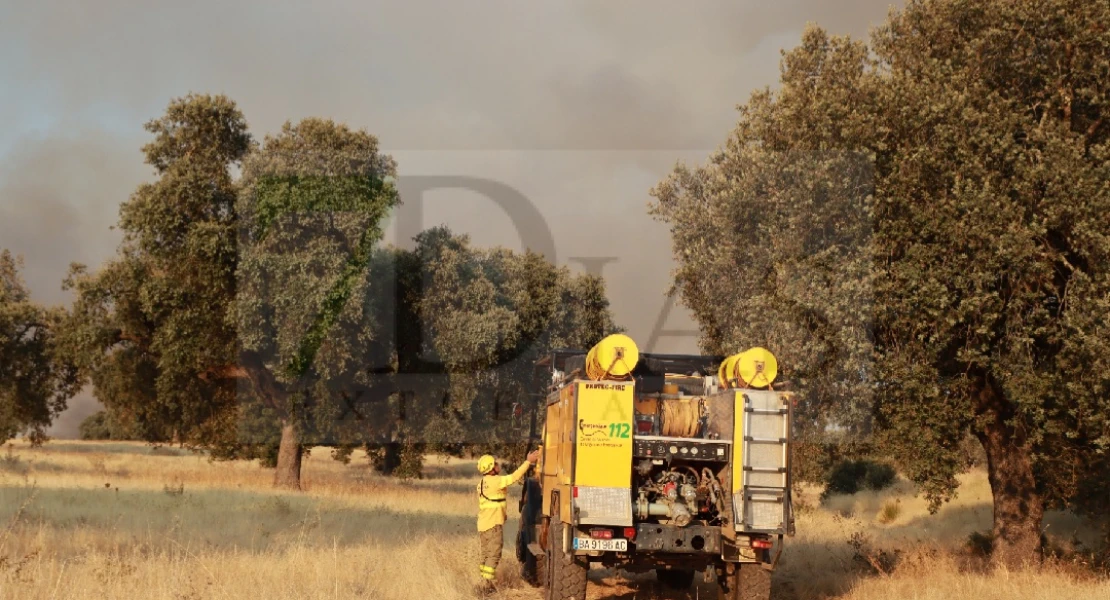 Imágenes que deja el incendio de nivel 1 declarado en Badajoz