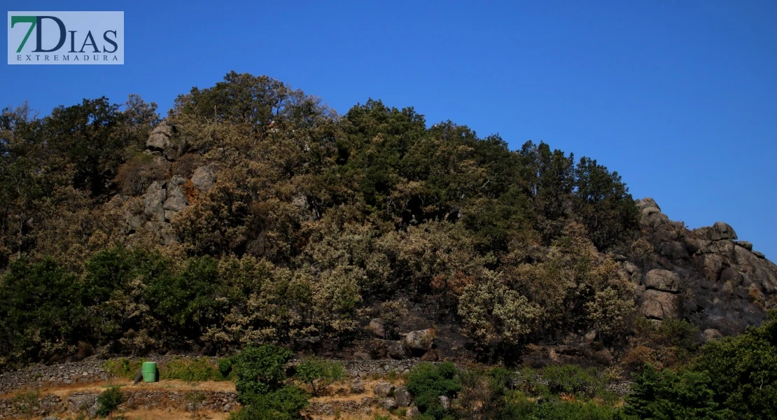 Así se encuentra uno de los pueblos afectados por el incendio de Jarilla: "Volverás a florecer"