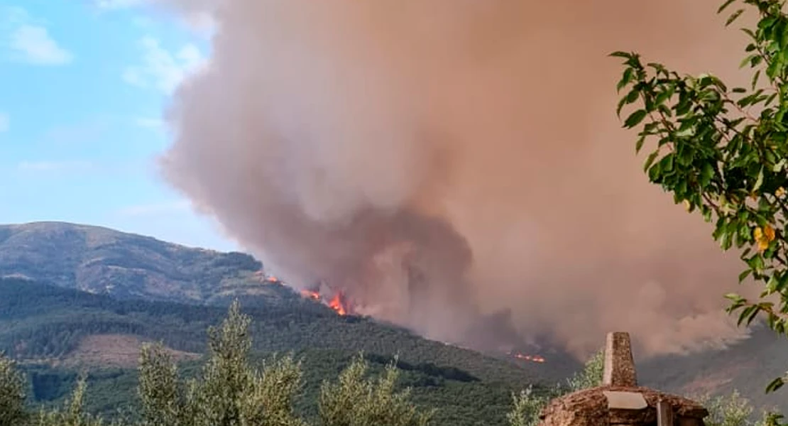 Incendios en Extremadura: qué cubren los seguros y cómo reclamar los daños