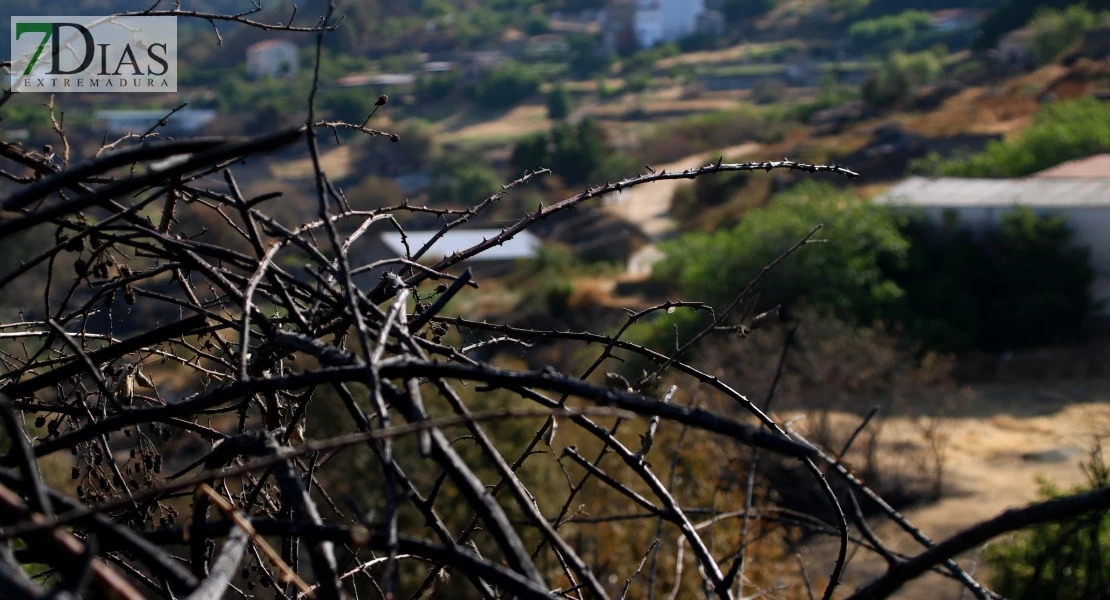 Así se encuentra uno de los pueblos afectados por el incendio de Jarilla: "Volverás a florecer"