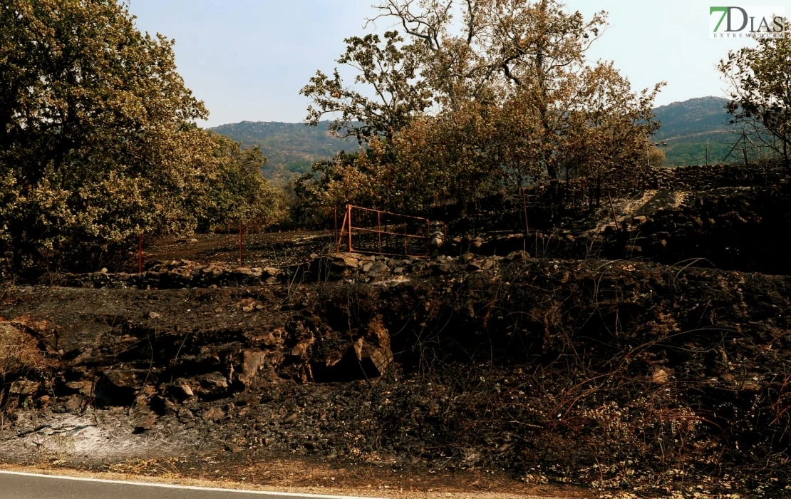 REPOR - Operativo y estado actual de la zona arrasada por el incendio desde Jerte