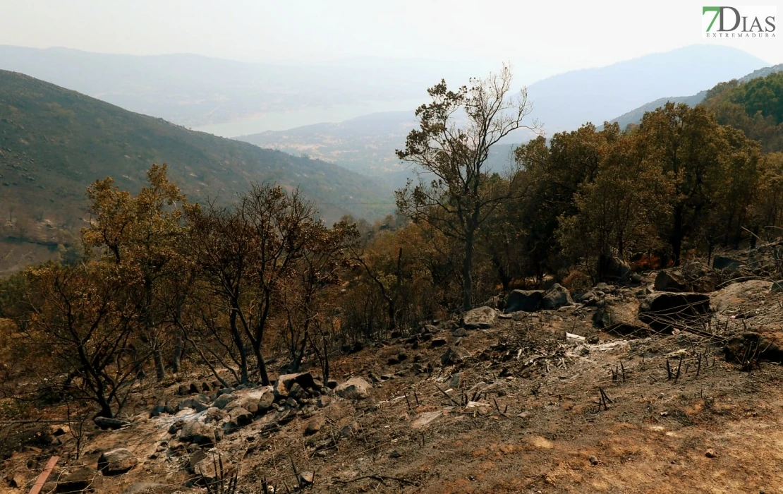 REPOR - Operativo y estado actual de la zona arrasada por el incendio desde Jerte