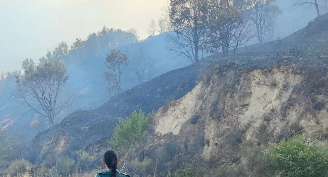 Critican a la Junta por no tener limpios los campos: "No aprendemos de los errores"