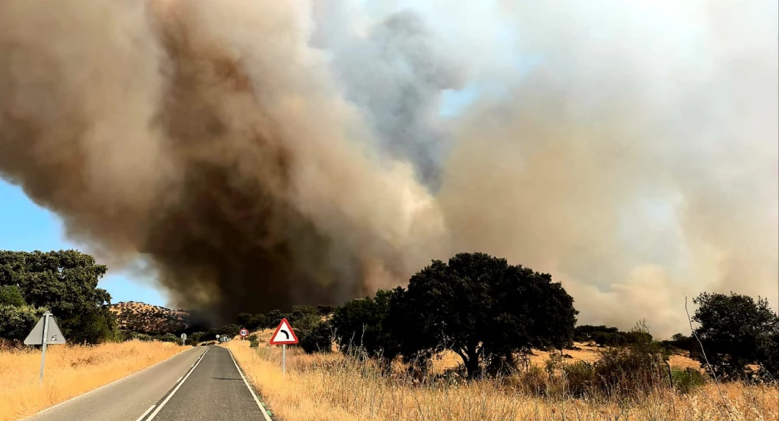 Un incendio forestal cerca de Llerena obliga a cortar la EX-103