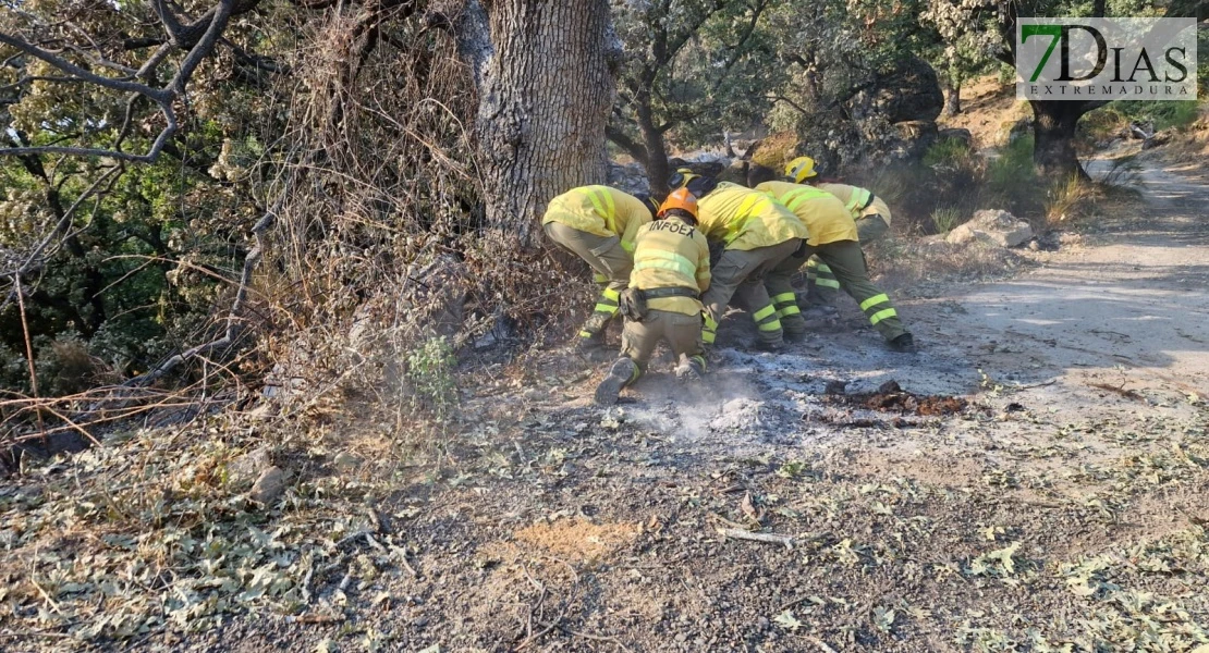 Solidaridad en el norte de Extremadura: bomberos forestales ayudan en las zonas afectadas por el incendio de Jarilla
