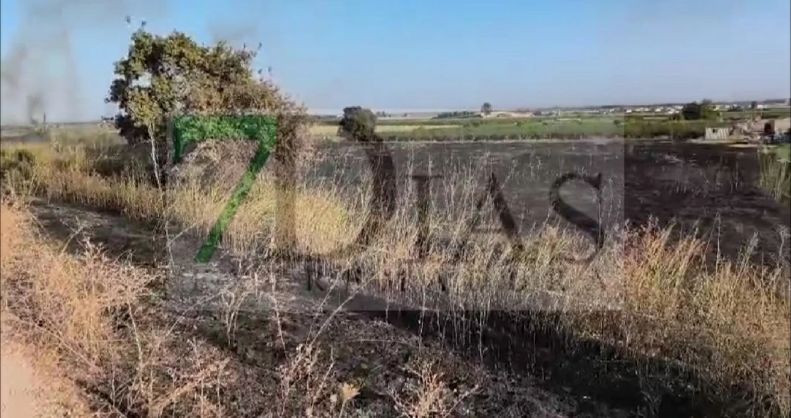 Momentos de tensión en Pueblonuevo del Guadiana por un incendio cercano a viviendas