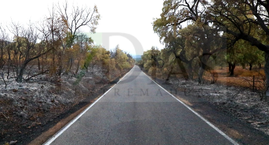 "Es un infierno desolador ver la Sierra de San Pedro, nuestra vida, así"