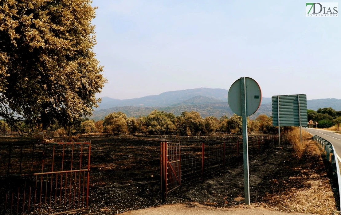 REPOR - Operativo y estado actual de la zona arrasada por el incendio desde Jerte