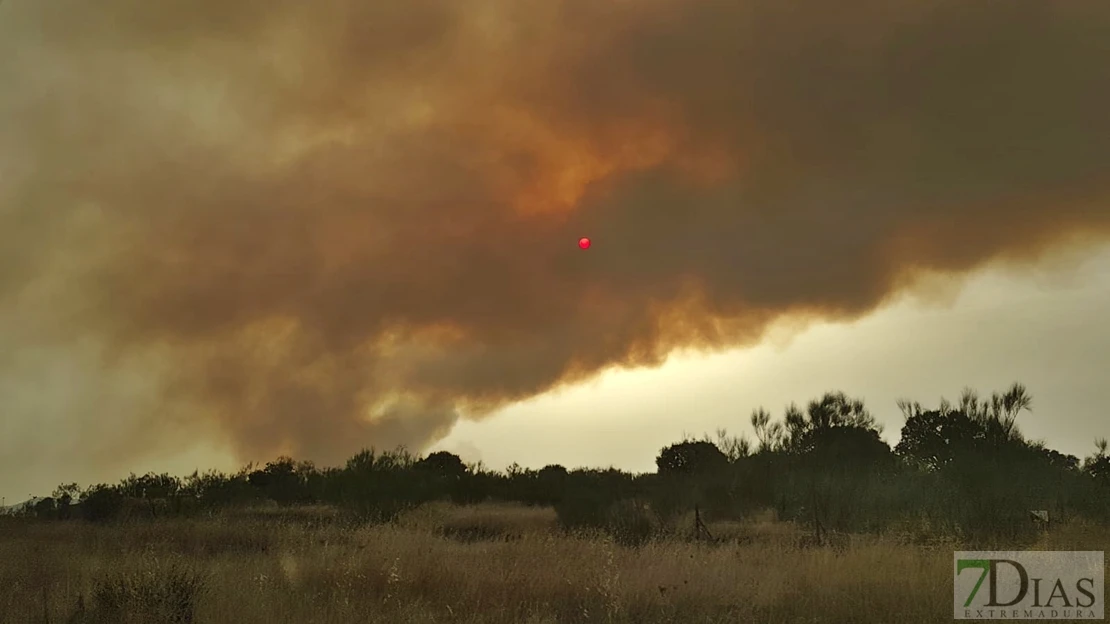 Piden que Guardiola asuma las responsabilidades por los incendios en Extremadura