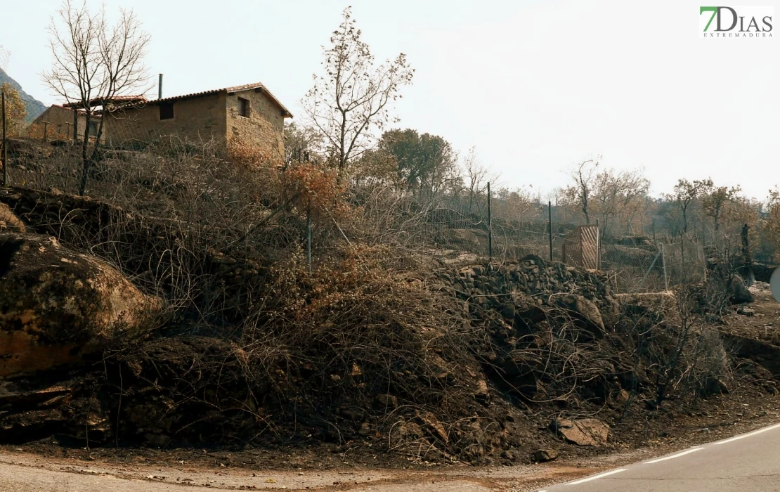 REPOR - Operativo y estado actual de la zona arrasada por el incendio desde Jerte