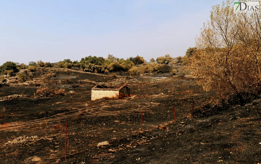 REPOR - Operativo y estado actual de la zona arrasada por el incendio desde Jerte
